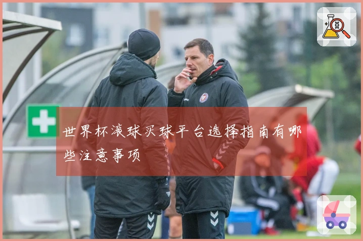 世界杯滚球买球平台选择指南有哪些注意事项