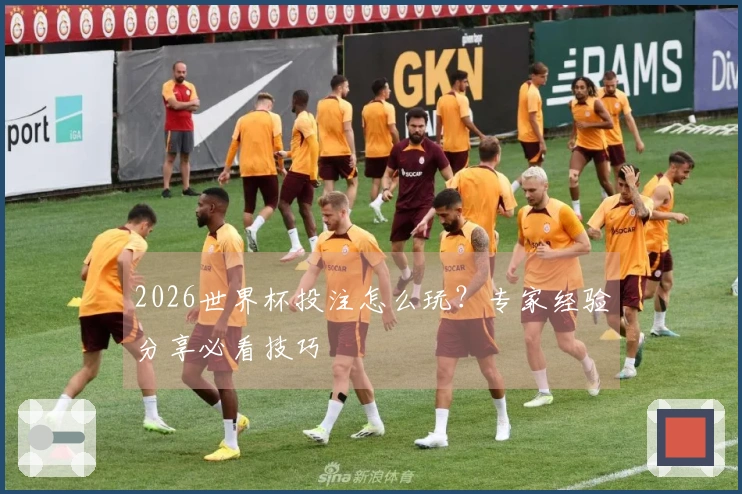 2026世界杯投注怎么玩？专家经验分享必看技巧