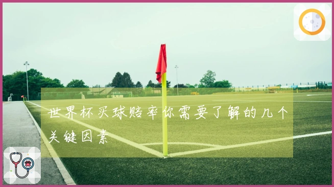 世界杯买球赔率你需要了解的几个关键因素