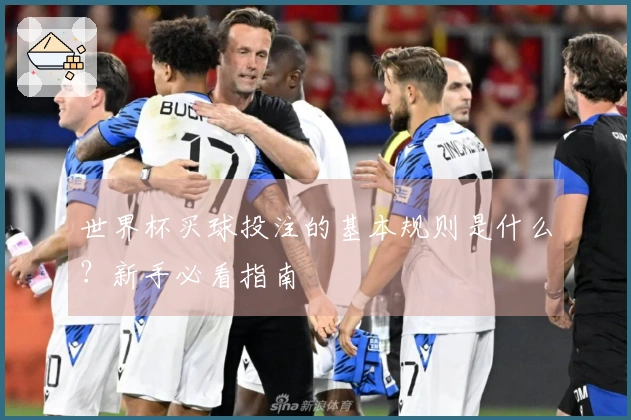 世界杯买球投注的基本规则是什么？新手必看指南