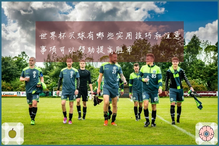 世界杯买球有哪些实用技巧和注意事项可以帮助提高胜率