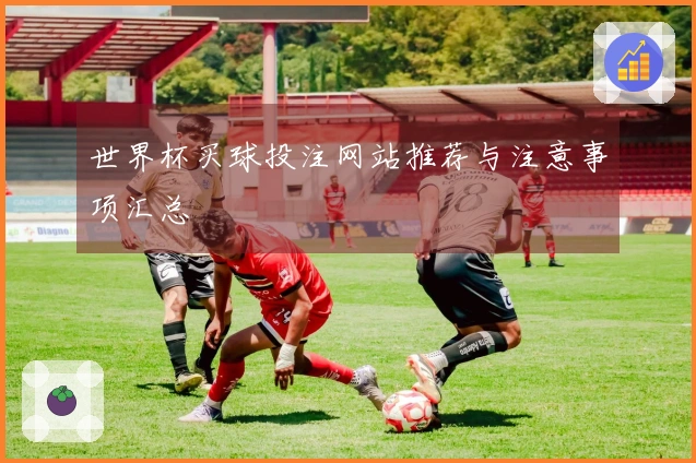 世界杯买球投注网站推荐与注意事项汇总