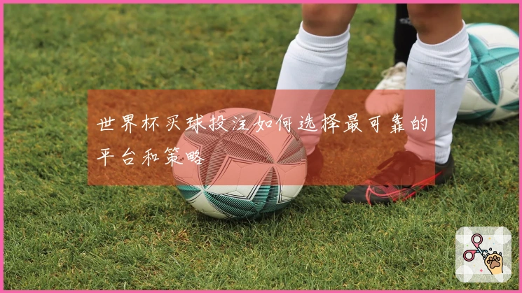 世界杯买球投注如何选择最可靠的平台和策略