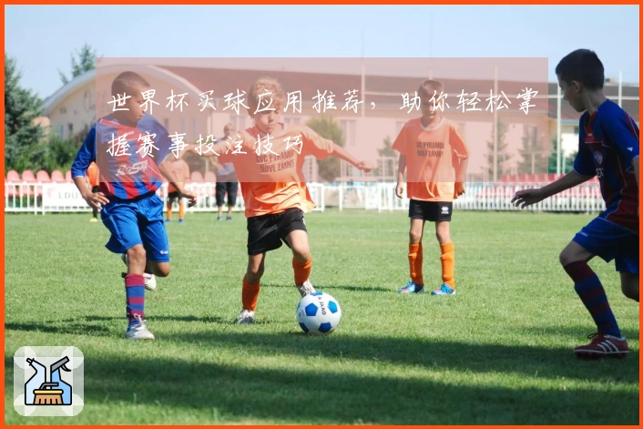 世界杯买球应用推荐，助你轻松掌握赛事投注技巧